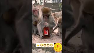 Desi pauafull funnycomedy video#कॉमेडी #वायरलरील्स#funnyreels#viralcomedyreels#funnyvideo#videoviral