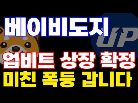 🚨베이비도지 업비트 상장 확정 공지!! 🚨 미친 폭등 준비하셔야 합니다 홀더 영상 시청 필수!!! #베이비도지