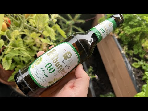 Bitburger Herb Alkoholfrei | Das beste Alkoholfreie? | Biertest #86