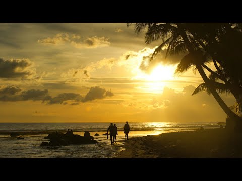 Calm and chill music | Beach waves during sunset🌅 | stress relief~ sleep ~yoga~meditation