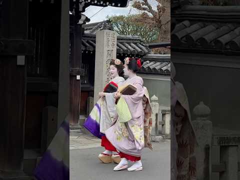 京都ゑびす神社の残り福祭の舞妓さん #京都 #舞妓