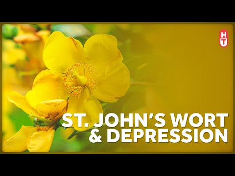 Depression and Saint John's Wort