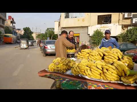 Egypt: Kafrat al Jabal, Cairo 11-11-2018