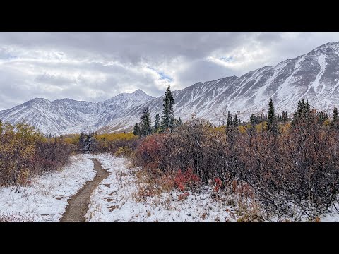 An unexpected snow ❄️ #Canada #YukonTerritory #Yukon