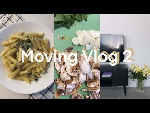 Vlog 35: Home Updates + Cook with me *Hello Fresh*