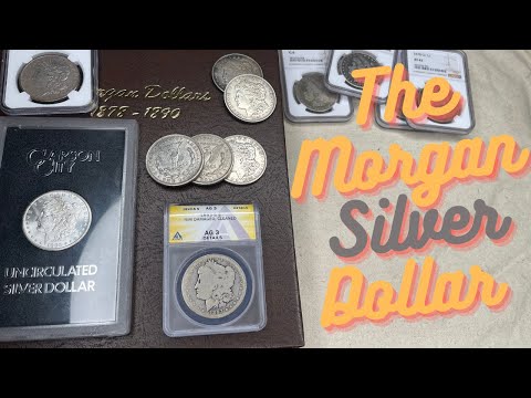 ❗️THE MORGAN SILVER DOLLAR❗️The Most Recognizable Coin ever in the USA 🇺🇸. My Set, Fun Facts & GSAs.