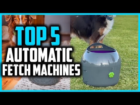 ✅Top 5 Best Automatic Fetch Machines in 2025