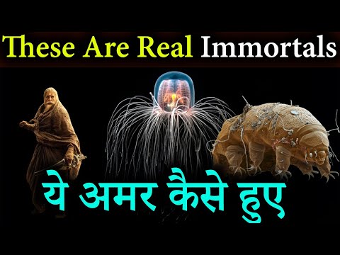 Is it Possible to be immortal | क्या अमर होना संभव है | दुनिया में वो जीव जो अमर हैं