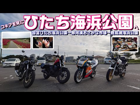 【#152】【茨城ツーリング】雨の中高速に乗り「国営ひたち海浜公園」へ！見頃のコキアは凄く綺麗でした！【GB350＆Rebel500＆VTR＆NSR】