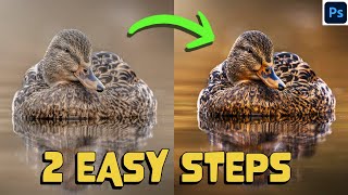 HOW to TRANSFORM your images in 2 EASY STEPS - Photoshop like a PRO