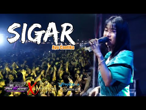 SIGAR - VOC. AYU CANTIKA || RANTAU PLAT G X MAHESA MUSIK LIVE CIKARANG EXPOSED