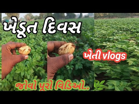 ખેડૂત દિવસ આજે ||khedut divas aaje || kishan day || gamda nu jivan || villages life