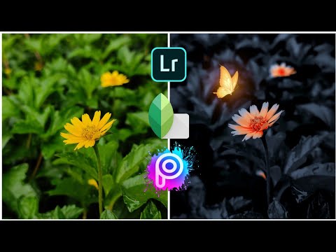 Snapseed and Lightroom Hd photo Editing with PicsArt stickers ⚡📸