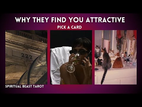 pick a card | why they find you attractive (currently)