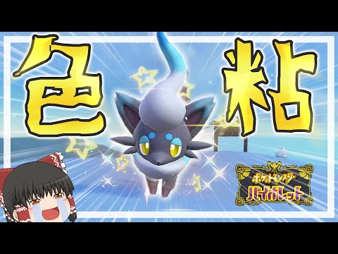 【色厳選】色違いのヒスイゾロアたんが可愛すぎる件について　【ゆっくり実況】【ポケモンSV】　#ポケモンsv #ゆっくり実況 #ヒスイゾロア