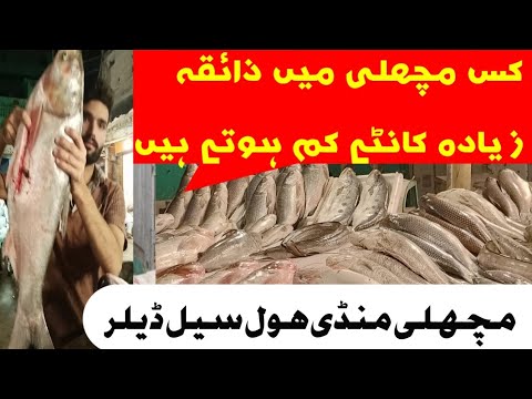 Rawalpindi Fish Market | Cheapest Fresh Fish Biggest Market | wholesale Seafood Market | raja bazar