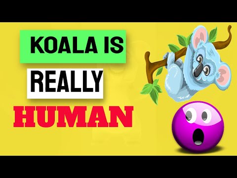 Koala is really human? #facts #factshorts