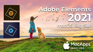 Adobe Photoshop Elements 2021  | Interface & Workspace Quick View