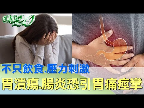 不只飲食.壓力刺激 胃潰瘍.腸炎恐引胃痛痙攣 健康2.0 @tvbshealth20