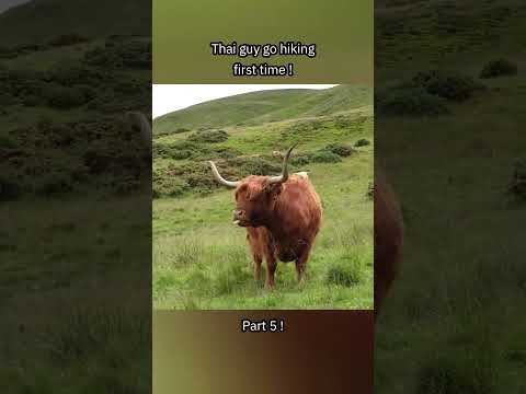 Thai guy go hiking in Scotland first time! Part 5