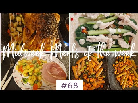 Meals of the week! | Midweek meals for my family | What we eat in a week #68 | Regular, real meals