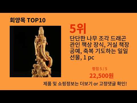 회양목 알리익스프레스 가성비 갑 아이템 BEST 10