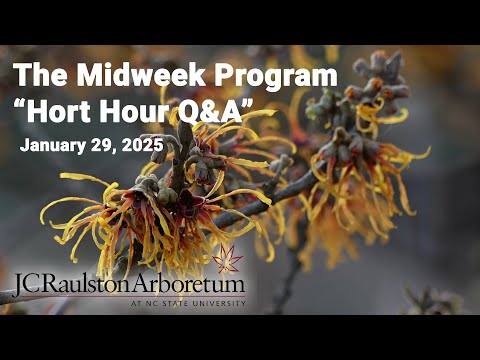 The Midweek Program - “Horticulture Hour Q&A” - January 29, 2025