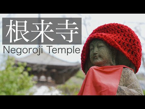 ［４K HDR］根来寺国宝多宝塔。早朝散策。