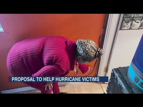 'It's about $3 million': Tampa City Council considers plan to aide hurricane victims