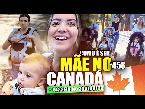 ROTINA DE MÃE no CANADÁ e os Desafios da FALTA de Rede de Apoio! + TOUR pelo Zoológico de Calgary.