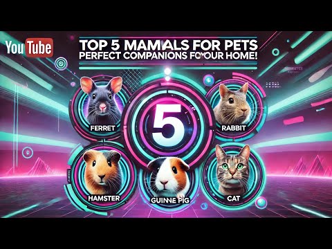 "Top 5 Mammals for Pets: Perfect Companions for Your Home!"