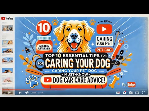 Top 10 Essential Tips for Caring for Your Pet Dog | Must-Know Dog Care Advice!