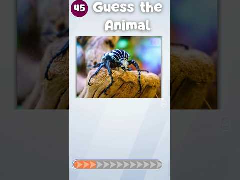 Guess the  Animal in Just 3 Seconds – Can You Do It?|The Quiz Show