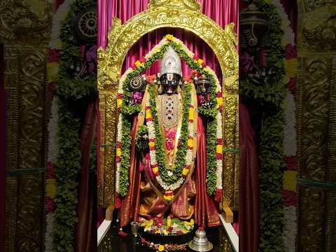 Srinivasa Govinda #govinda #iskcon #guntur #harekrishna