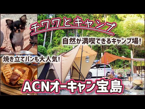 犬連れキャンパーの聖地【栃木県：ACNオーキャン宝島】名水と自然が満喫できるキャンプ場でチワワとキャンプ♪朝食の焼き立てパンも大人気！