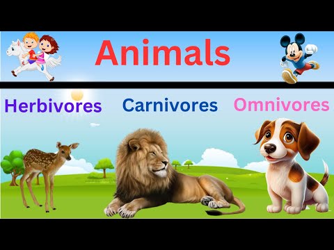 Herbivores carnivores and omnivores animals | Eating habits of animals |#herbivores