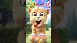 Cat fun #short Subscribe now for more#catvideos #shorts #funny