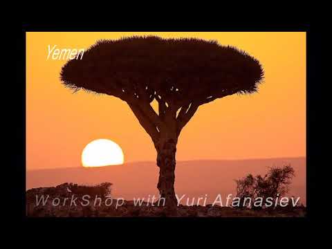 Yemen & Socotra Island. Photography Workshops & Photo Tours. Soqotra island 2010 tours. اليمن