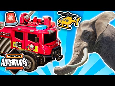 Giant African Elephant on the Loose in the City of Matchbox! 🐘