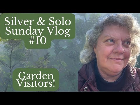 Sunday Vlog #10  Garden Visitors & a Dog Walk