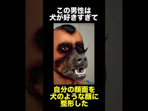 自分の顔を犬のような見た目に整形した男　　　　　　　　　　　　　　#事件解説 #怖い話 #犬 #整形