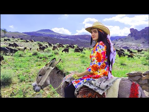 Village Life Iran: Village Girl Rides Donkey & Shepherds All Day | Village Fast Food