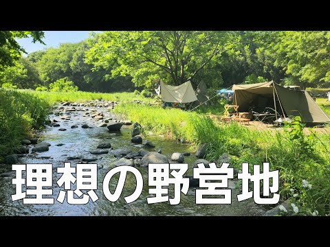 【神奈川県】川のせせらぎと新緑【野営地】【中津川】【ソロキャンプ】