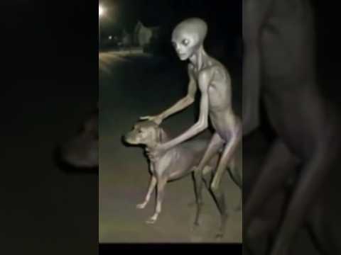 Alien 👽 recorded in CCTV #ai #alien #shorts