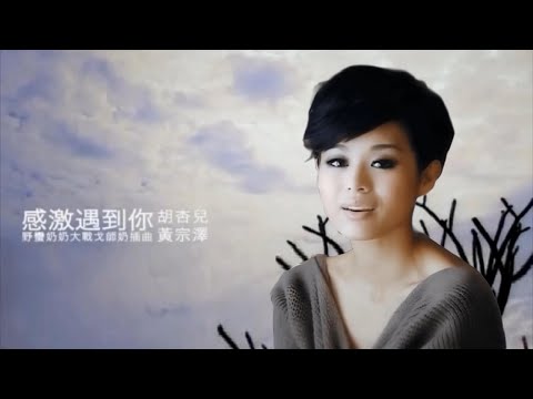 感激遇到你 (粵語🆚繁中字幕)【胡杏兒 Myolie Wu & 黃宗澤 Bosco Wong】『野蠻奶奶大戰戈師奶 Wars of In-Laws II (2008)』〘edited〙MV