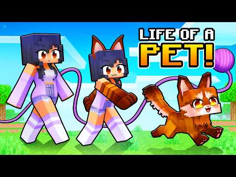 Having a PET LIFE in Minecraft!