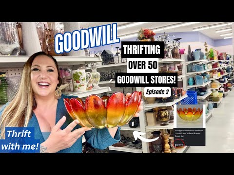 THE TOUR CONTINUES!! THRIFTING OVER 50+ GOODWILL THRIFT STORES! Thrift With Me! Episode 2