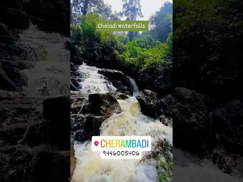 Choladi Waterfalls I Wentworth Estate I Cherambadi I Nilgiris #cherambadi #waterfall