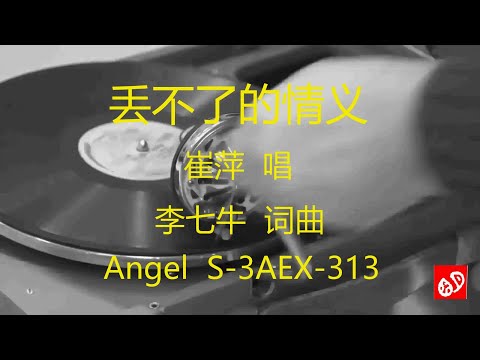 丢不了的情义   -    崔萍