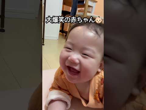 いないないばぁで大爆笑する赤ちゃん👶🏻#赤ちゃん #赤ちゃんのいる生活 #日韓ハーフ #かわいい #生後6ヶ月#아기영상 #까꿍 #baby #shorts